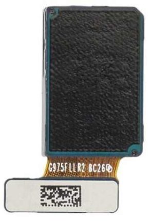 Samsung S10 Plus Selfi Camera